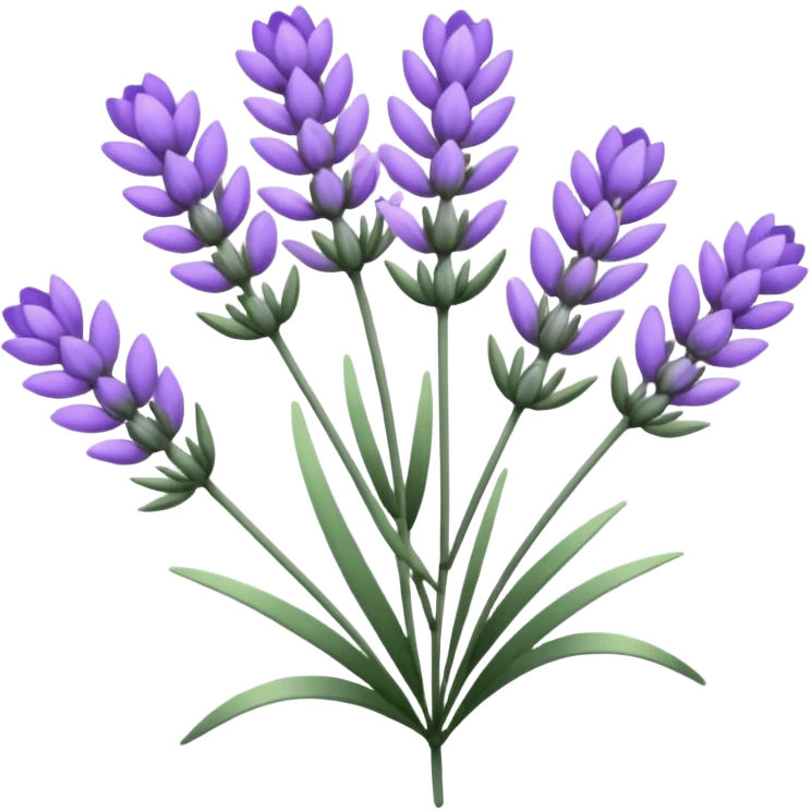 Lavender flower emoji