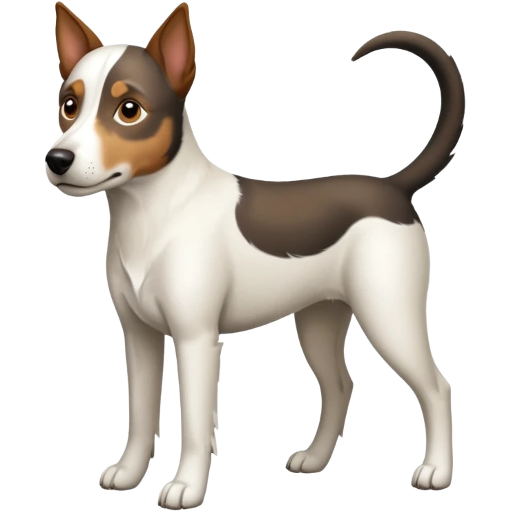 a full body large white parson russell looking dog the size of a kelpie with light brown flopped down ears and a light brown patch on one eye and a large snout emoji