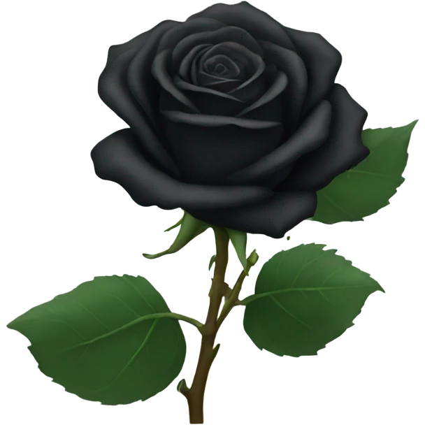 black rose  emoji