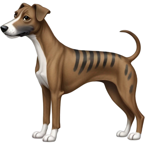 Pitbull greyhound mix brindle  emoji