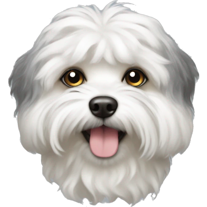 Schichon emoji