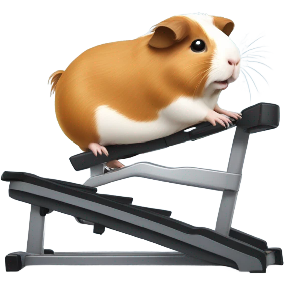 Guinea pig on stair master emoji