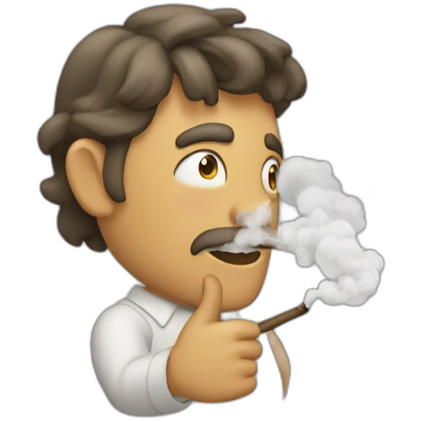 Chat qui fume de la chicha emoji