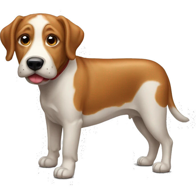 Un chien qui mange du steak  emoji