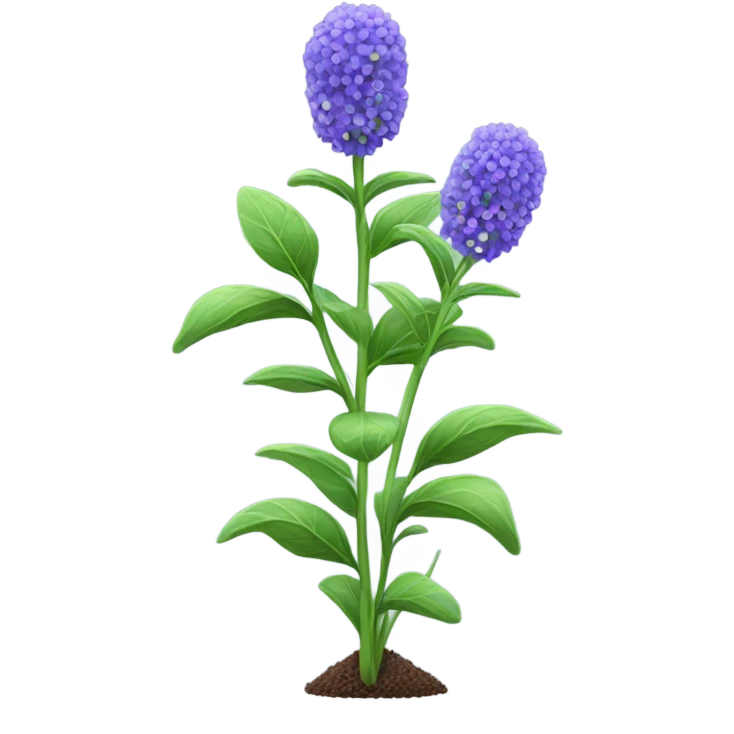 Chia cover crop emoji