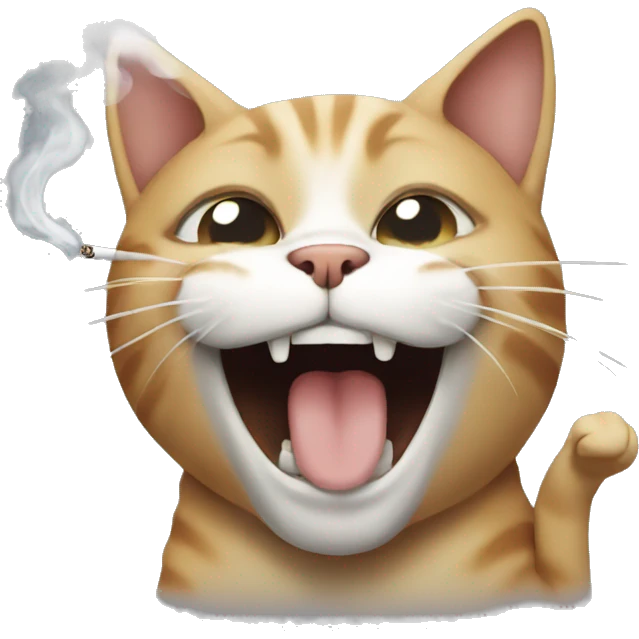 cat smoking and laughing  emoji