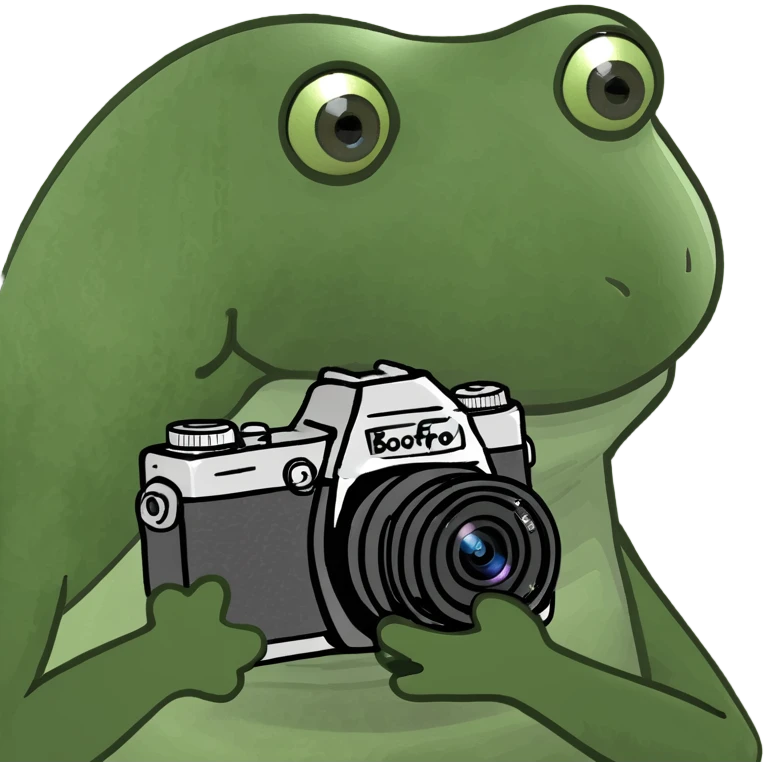 Place the bufo frog holding a camera on a sunny tropical beach, maintaining the green bufo frog meme style with concise details and vibrant colors typical of the bufo style. emoji