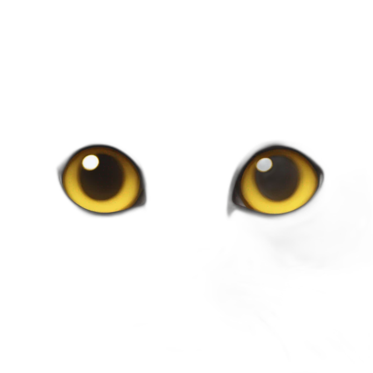 Chuncky grey British shorthair golden eyes emoji