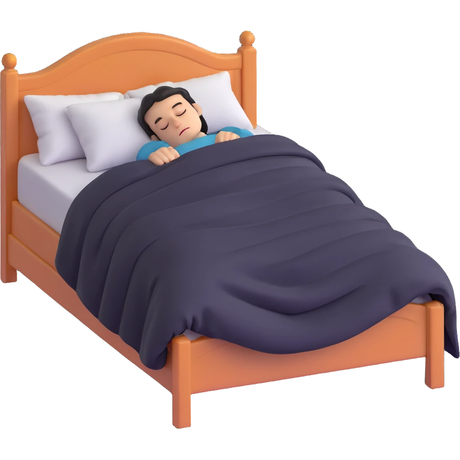 person sleeping under a blanket on a king bed, face hidden, foot of the bed view emoji