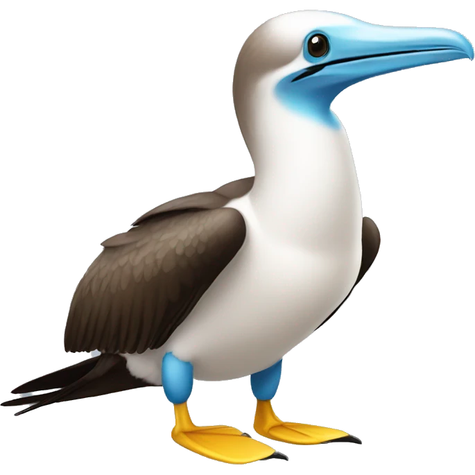 blue footed booby emoji