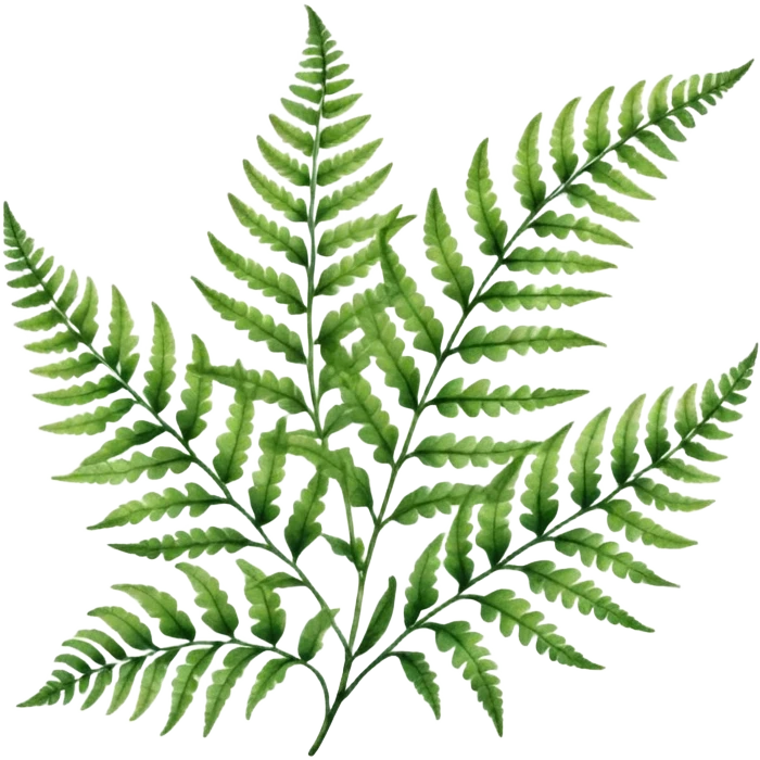 A close-up of a fern plant with intricate leaves, painted in soft watercolor greens with a subtle textured background.
 emoji