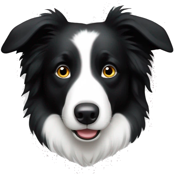Border collie œil noir et un œil blanc emoji