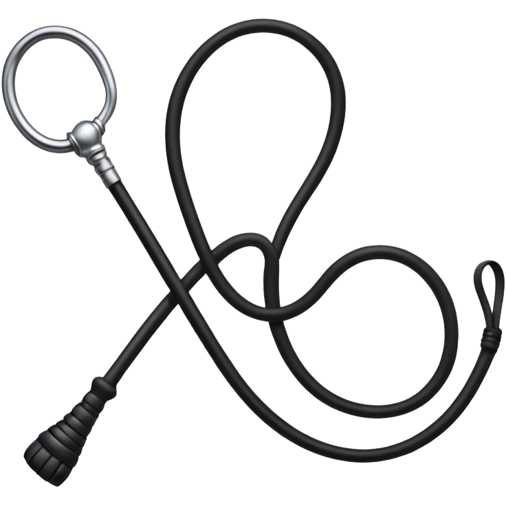 Black riding whip  emoji
