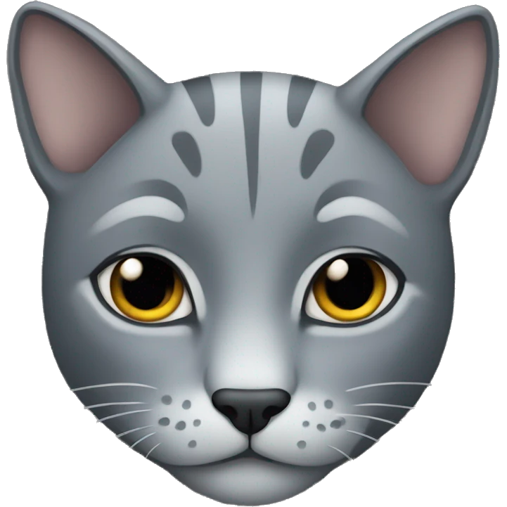 Big grey cat emoji