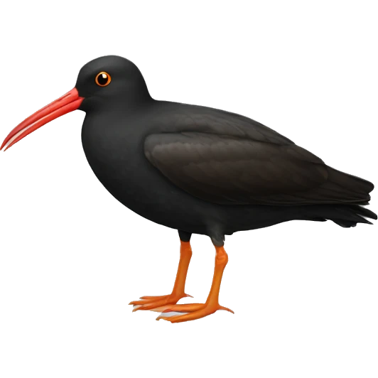 black oystercatcher bird emoji