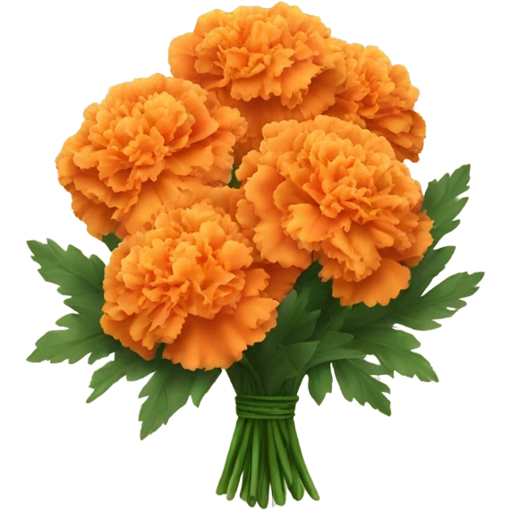 bouquet of orange-yellow carnations emoji