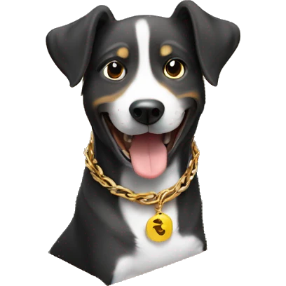 happy dog in cardboard box with gold chain  emoji