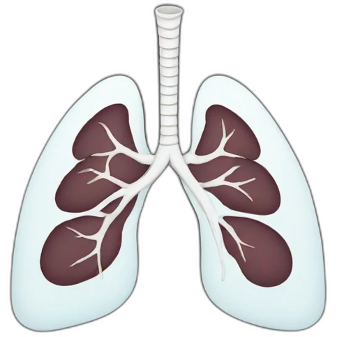 lung emoji