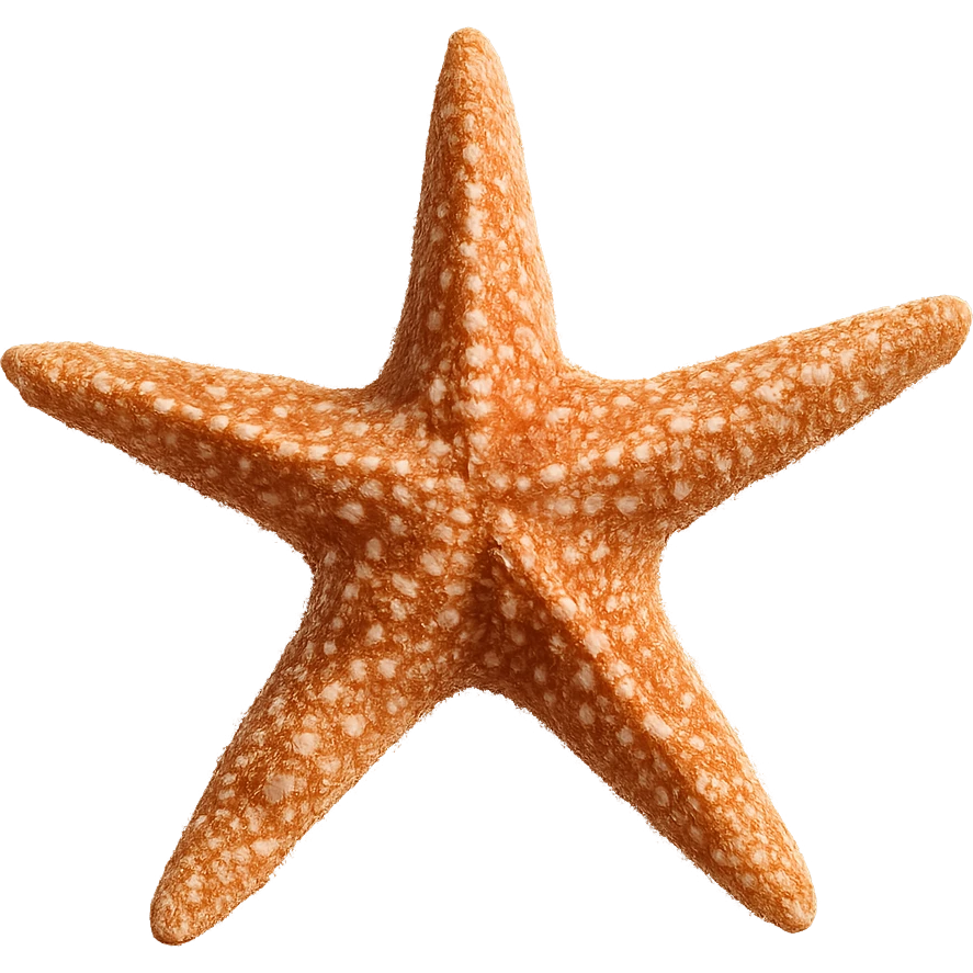 Starfish emoji