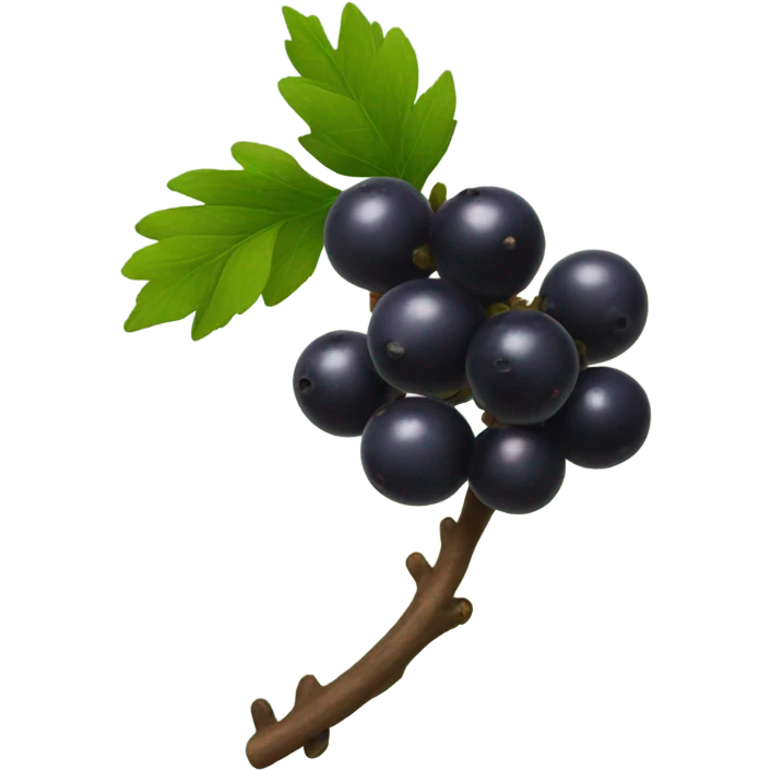 a bunch of little black berries on a branch emoji