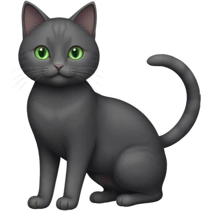 full body gorgeous solid dark grey cat with green eyes, white paws and white whiskers playing emoji