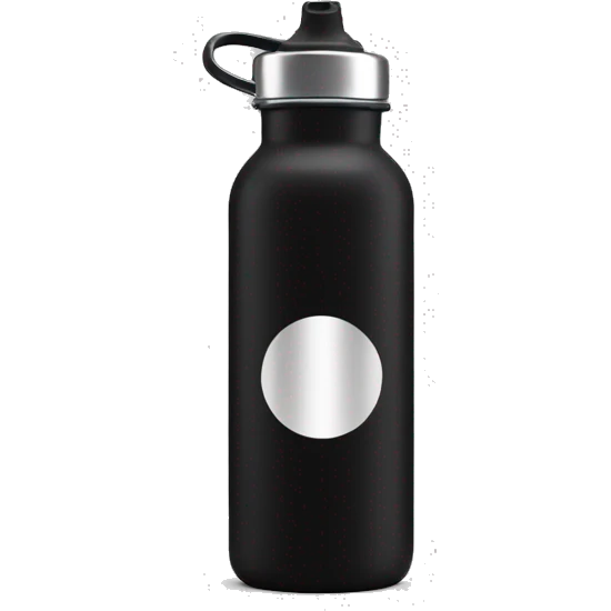 Waterbottle colour black with silver screw top lid emoji