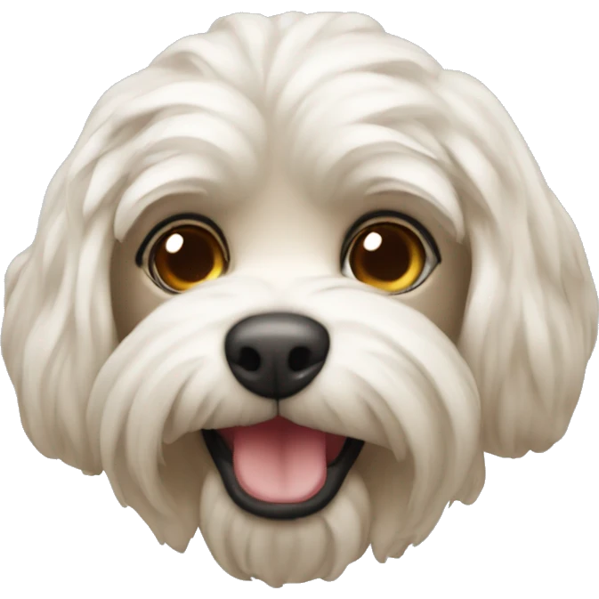 Red maltipu emoji
