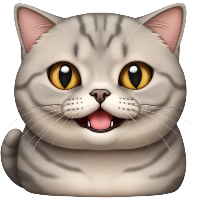 scottish fold british shorthair mix gray cat hissing emoji