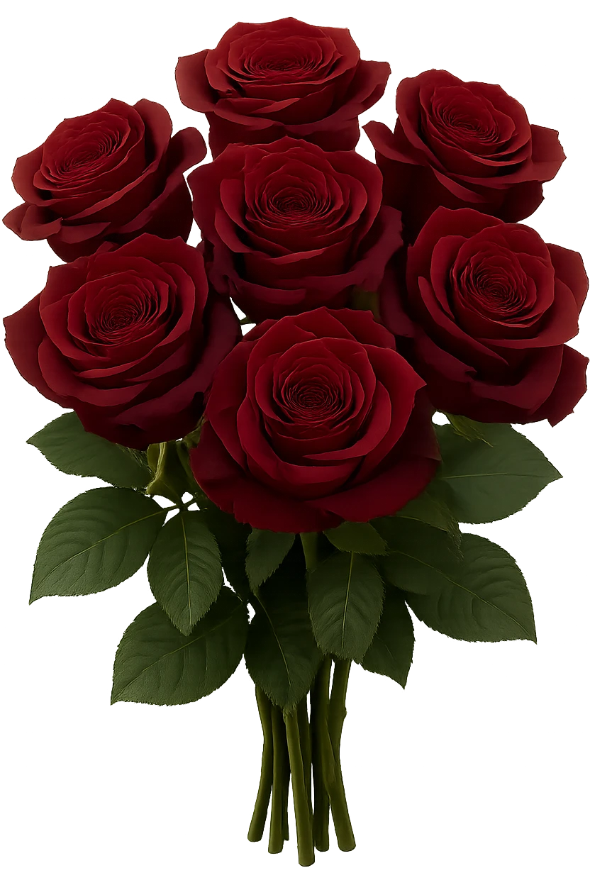 bouquet of burgundy roses , remove background emoji