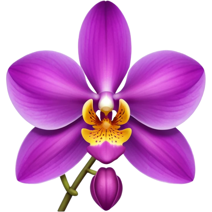 Orchid emoji