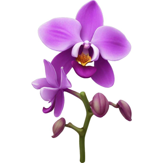 Orchid  emoji