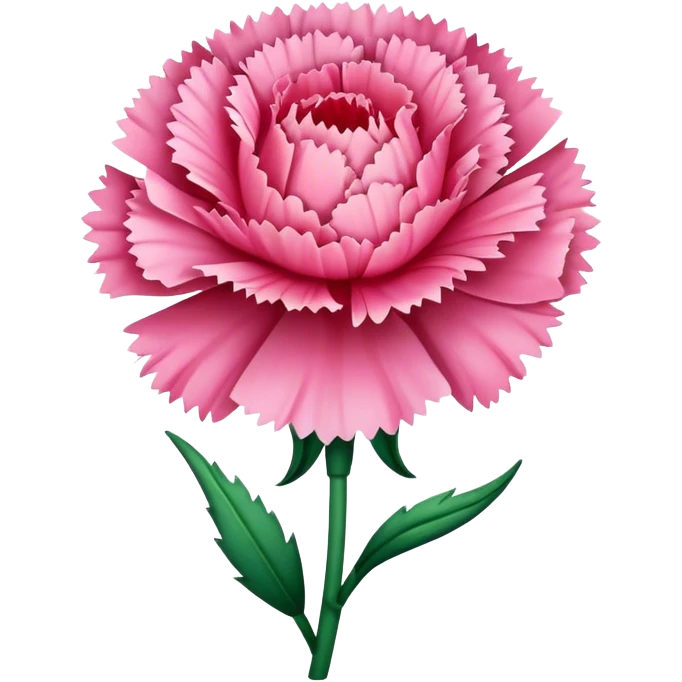 carnation flower emoji