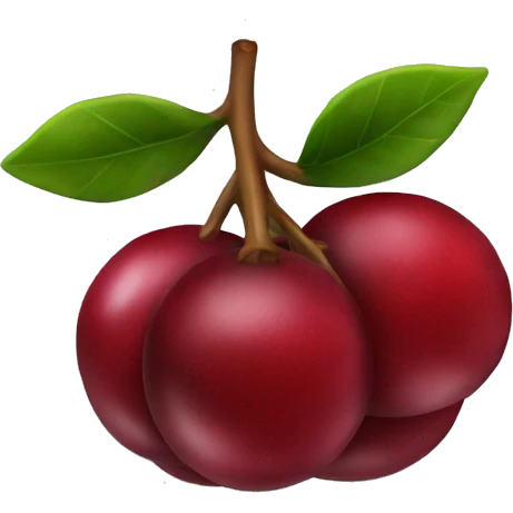 Cranberry  emoji