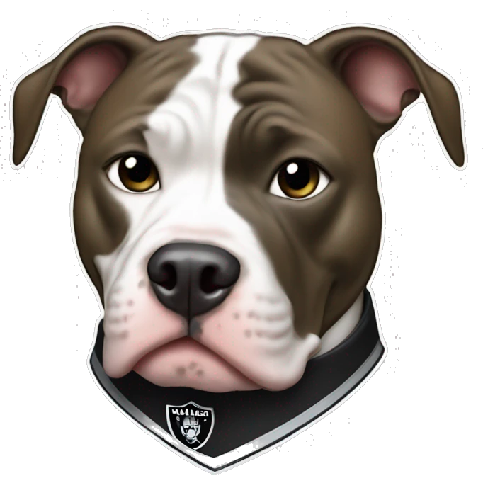 Pitbull with a raiders logo shirt  emoji