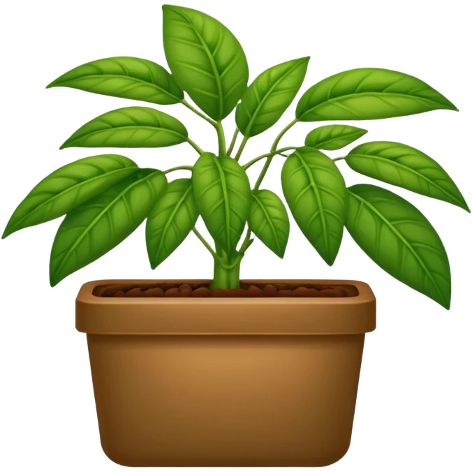 plantas abundantes tipo helecho en macetas rectangulares color café emoji