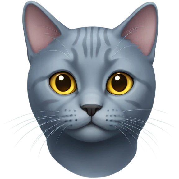 British blue cat  emoji