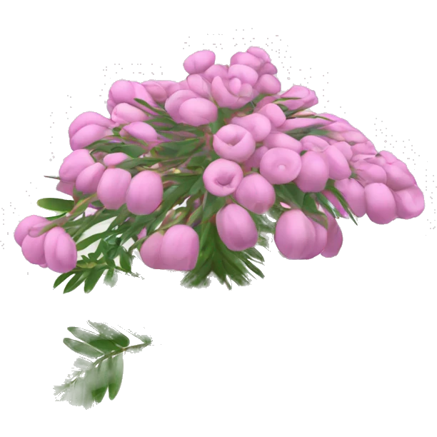 shame plant mimosa podia dormilona moriviví pink flower emoji