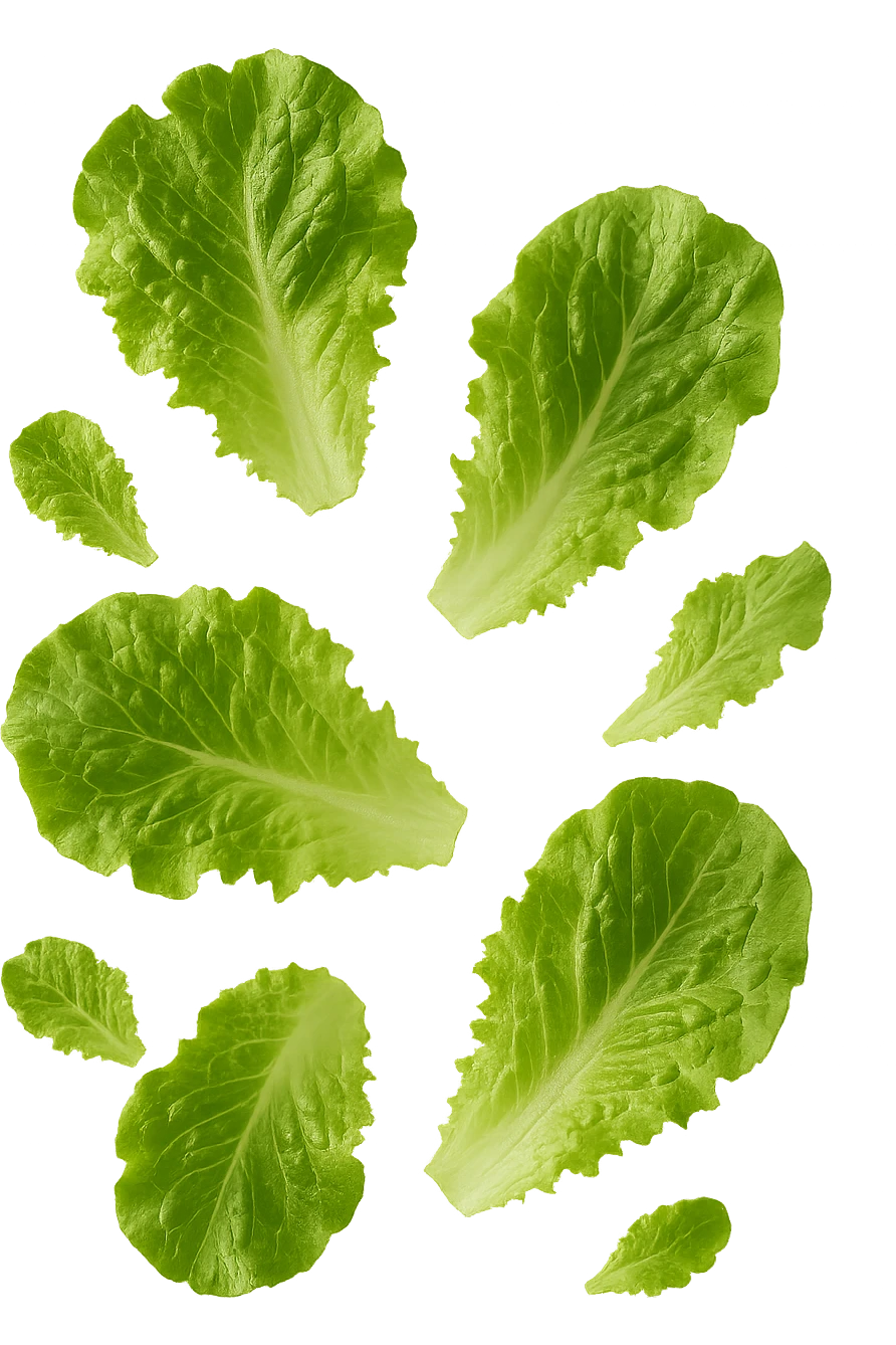 foglie di insalata fluttuano in aria, iperrealistico, non disegnato emoji