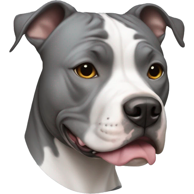 Grey American Staffordshire terrier with white spot  emoji