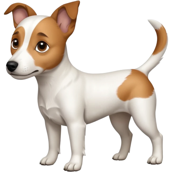 a full body white jack russel looking dog the size of a kelpie with light brown ears and a light brown patch on one eye, flopped down ears and a large snout emoji