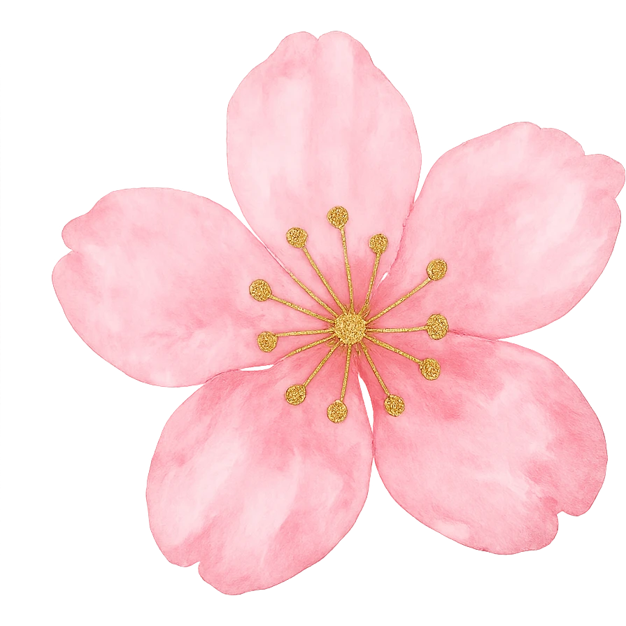 pink cherry blossom with gold accents, no background emoji