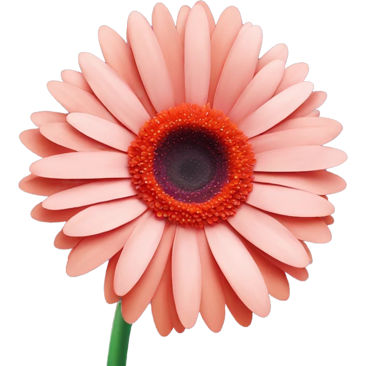 gerbera daisy emoji