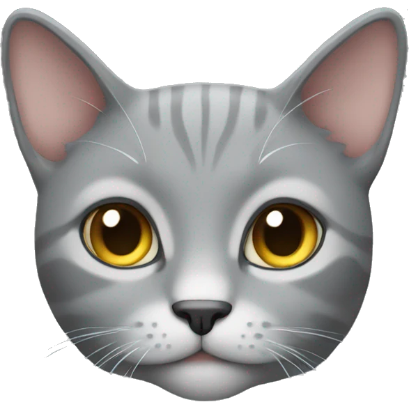 Grey cat  emoji