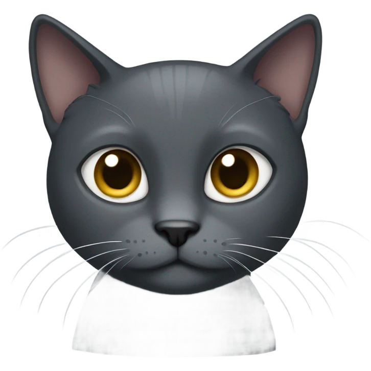 dark grey cat with a white belly  emoji