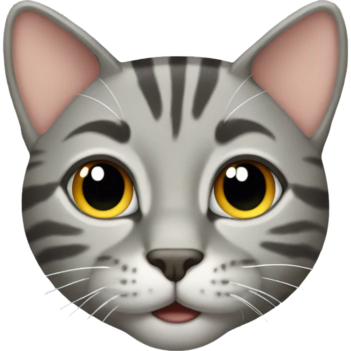 Gray tabby cat  emoji