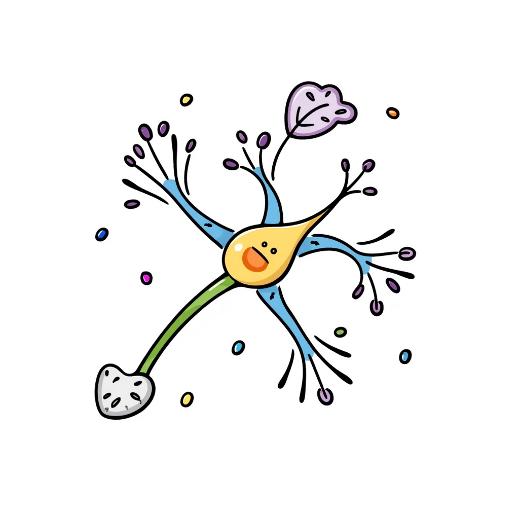 Neuroprotective mechanism illustration: central yellow neuron with orange cell body, blue dendrites, and long green axon, surrounded by supportive glial cells in purple and protective molecules shown as small colored shields. Hand-drawn anatomical diagram with detailed cellular components. emoji