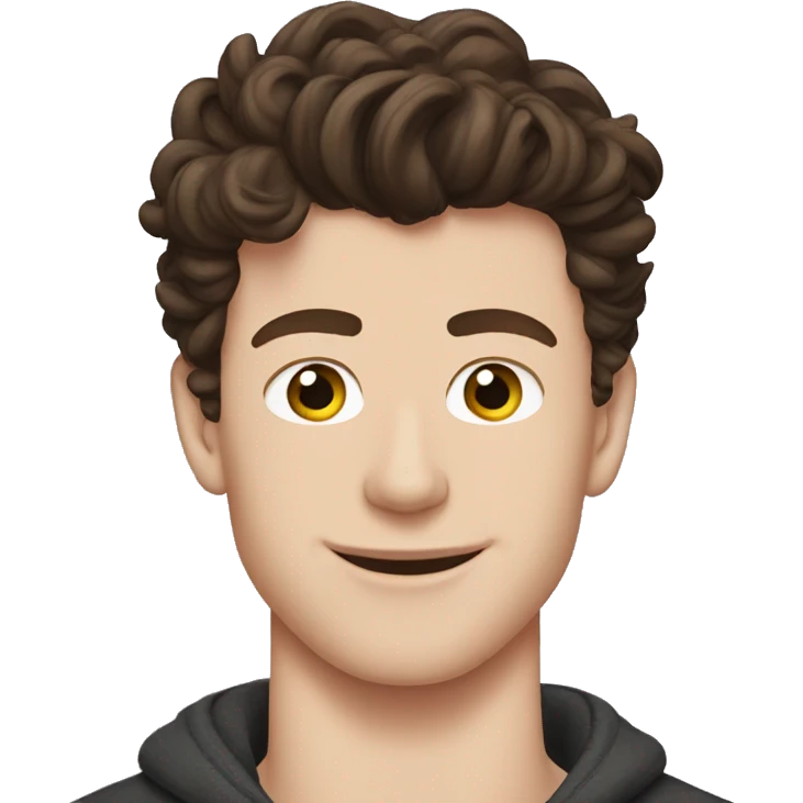 Shawn Mendes  emoji