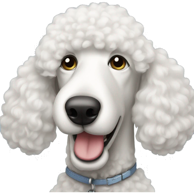White standard poodle  emoji