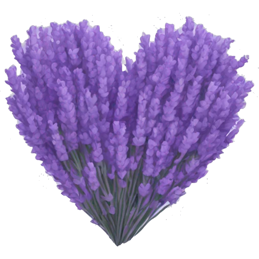 lavender heart emoji