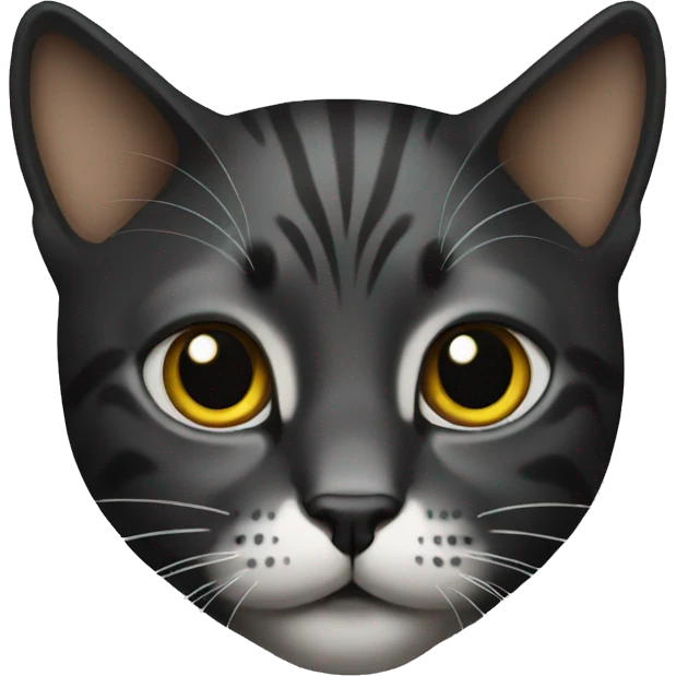 Cat black emoji